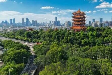 精品国产1000部91麻豆-是一部电影或剧集的呈现方式…